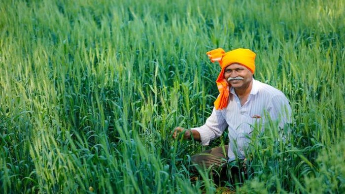 हरियाणा के किसान 31 जनवरी तक करें पंजीकरण, फोटो साभार: freepik