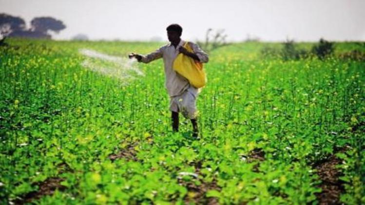 Fertilizer crisis: ब‍िहार में खाद संकट! स्टाॅक की कमी और कालाबाजारी से क‍िसान परेशान