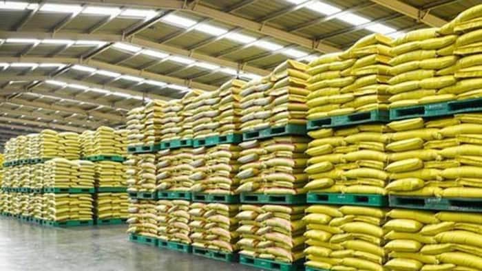 खाद संकट से उबरने के लिए मध्य प्रदेश कर रही है खाद का संरक्षण, फोटो: Google