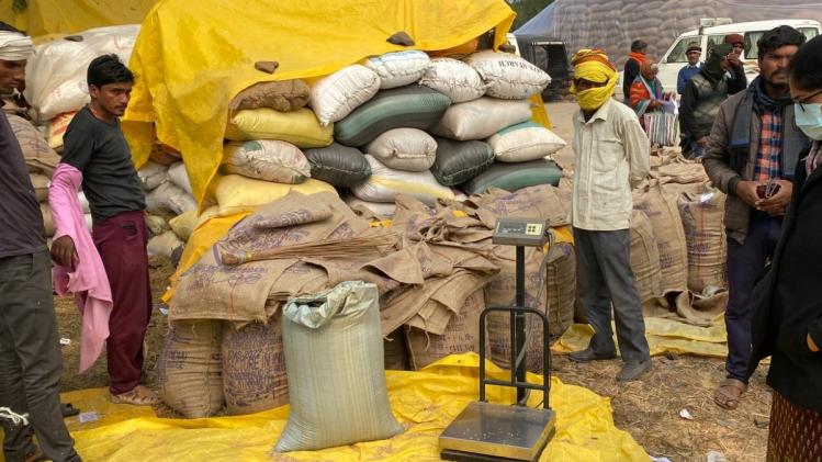 खरीफ विपणन वर्ष 2022-23 के दौरान खरीदी गई लाखों मीट्रिक टन धान, फोटो साभार: Twitter