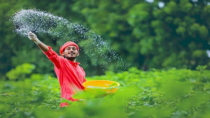 ICRA के रेटिंग एजेंसी का अनुमान, उर्वरक सब्सिडी 20 प्रतिशत तक घट सकती है, फोटो साभार: freepik