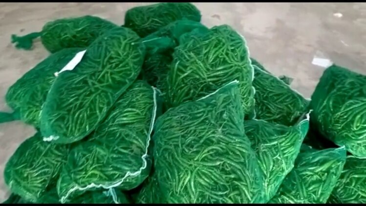 हरी मिर्च का बढ़ा निर्यात