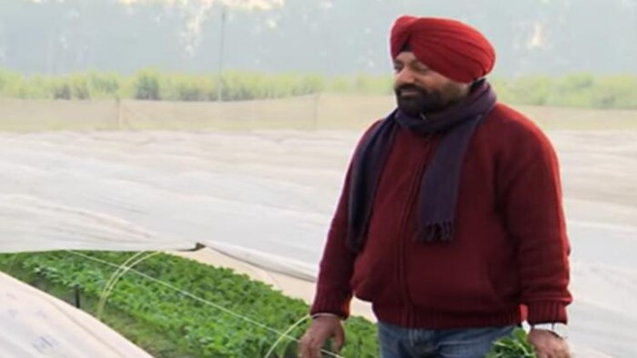 हरियाणा के किसान हरबीर सिंह (फोटो-वीडियो ग्रैब)
