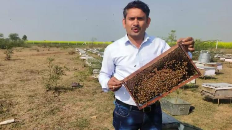 मधुमक्खी काटने से आया आइडिया, आज शहद से 10 लाख की कमाई कर रहा ये किसान