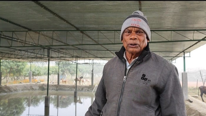 प्राकृतिक खेती के साथ मछली पालन