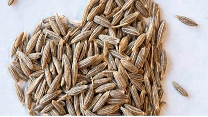 जीरे के भाव ने तोड़े सारे रिकॉर्ड (सांकेतिक तस्वीर)