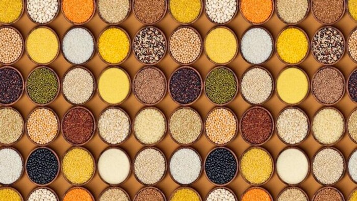 Millets: ज्वार में है पोषक तत्वों का भरमार, जानें किस पोषक तत्व में है कितनी मात्रा, फोटो साभार: freepik
