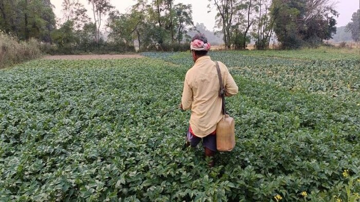 अपने खेत में कीटनाशक का छिड़काव करता किसान फोटोः किसान तक