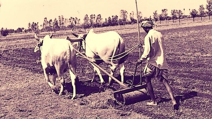 क्या होती है शामलात देह और जुमला मुश्तरका मालकान जमीन (File Photo).