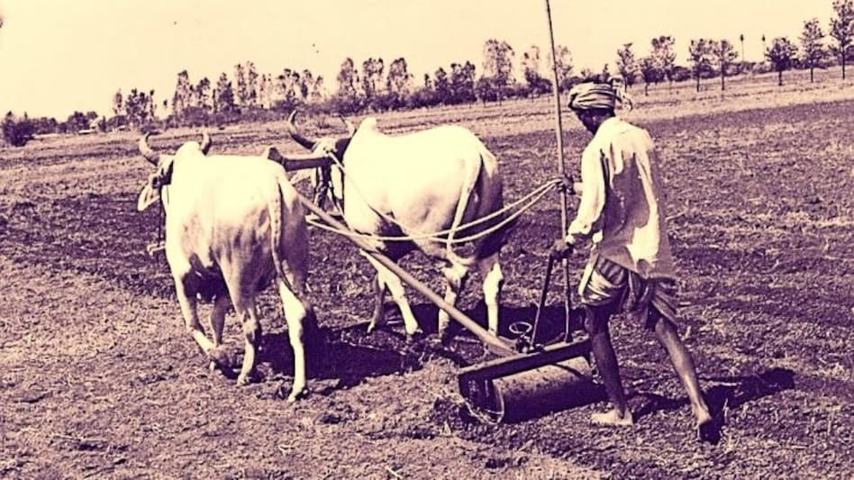 Land Reform: किसानों को जमीन के मामले में बड़ी राहत देने की तैयारी, विधेयक लाएगी सरकार  Land Reform: किसानों को जमीन के मामले में बड़ी राहत देने की तैयारी, विधेयक लाएगी सरकार