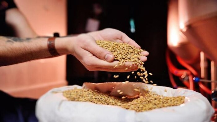 2023 के अंत तक देश में बांटा जाएगा 81 करोड़ लोगों को मुफ्त राशन, (प्रतीकात्मक तस्वीर) Photo: Freepik