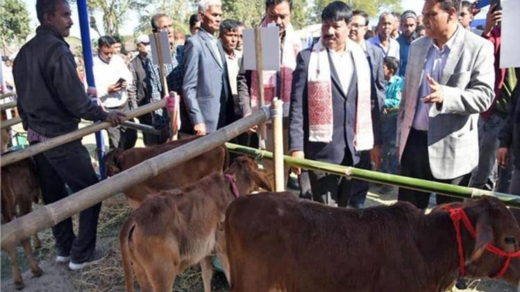 पूरबी डेयरी ने मेगा काफ शो का किया आयोजन (फोटो साभार: ट्विटर, एनडीडीबी )