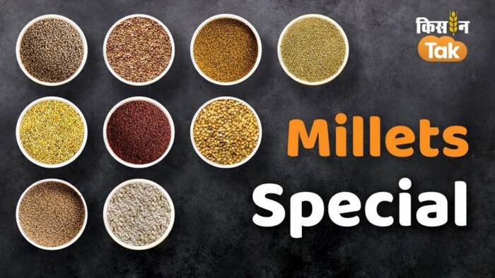 Millets Benefit Tips