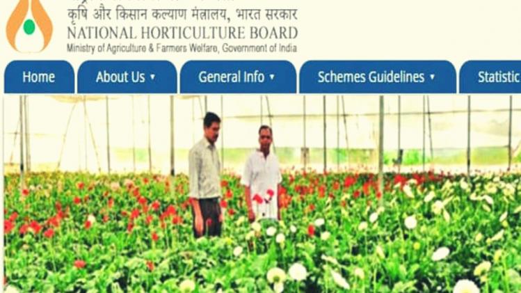 राष्ट्रीय बागवानी बोर्ड में यंग प्रोफेशनल पद के लिए निकली भर्ती, जानें आवेदन प्रक्रिया और अंतिम तिथि 
