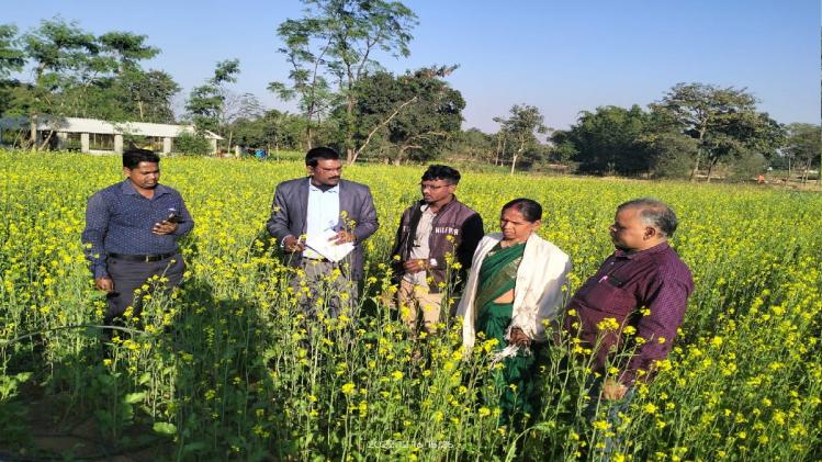 बोकारो के क‍िसान ने खेतों में अपनाई ड्र‍िप इरिगेशन, कम लागत में हुआ अध‍िक मुनाफा