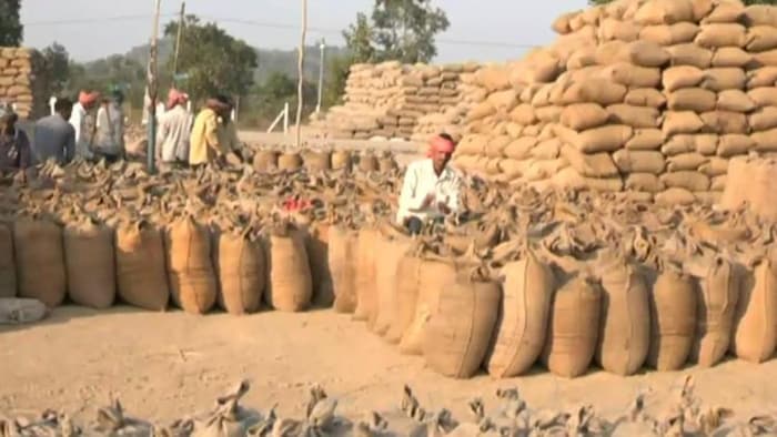 धान खरीद में महासमुंद जिला बना नंबर वन