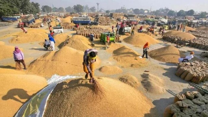 तेलंगाना में एक करोड़ टन के लक्ष्य के मुकाबले 60 लाख टन धान की खरीद (सांकेतिक तस्वीर)