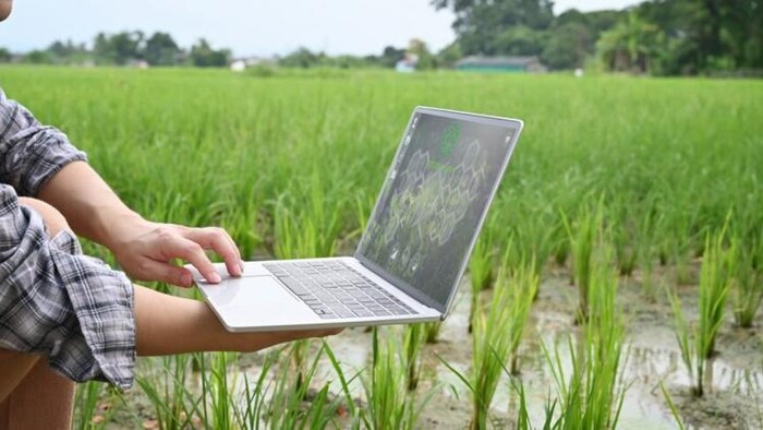 सहकारिता विभाग को आसान बनाने के लिए किया जा रहा कंप्यूटरीकृत, फोटो साभार: freepik