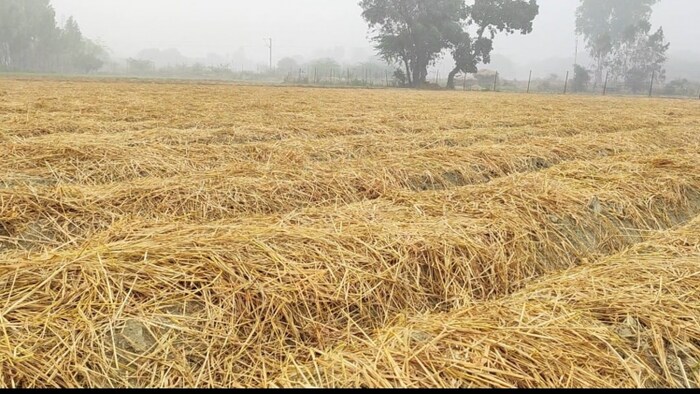 पराली प्रबंधन