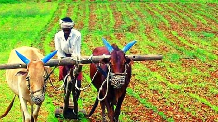 प्रधानमंत्री किसान सम्मान निधि योजना लेटेस्ट अपडेट, सांकेतिक फोटो