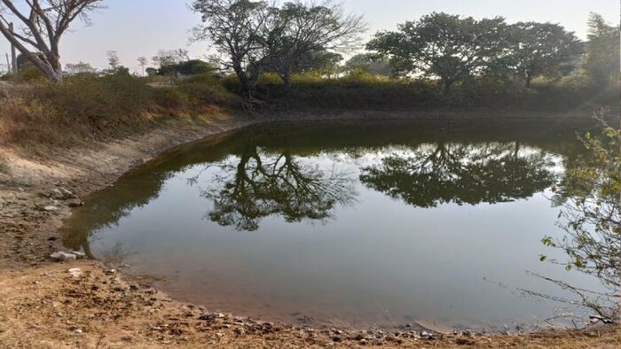 सिंचाई के लिए बनाया गया तालाब फोटोः किसान तक