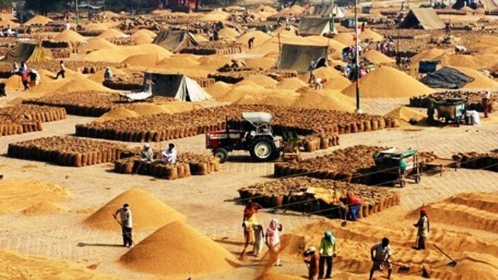 एमएसपी पर फसल बेचने के लिए करना होगा यह काम. (File Photo)