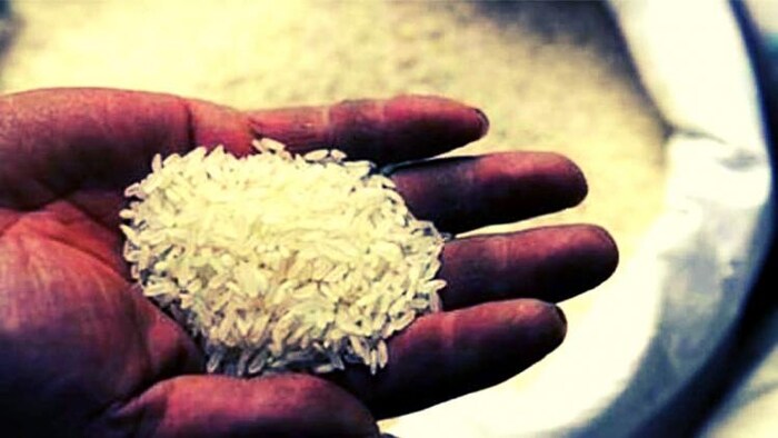 चावल की कीमतों में 15 फीसद की तेजी (सांकेतिक तस्वीर)