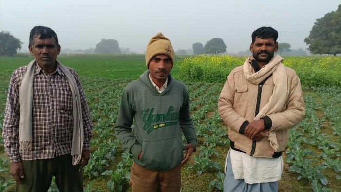 सब्जी की खेती करने वाले किसान बायें से संतोष कुमार,अशोक पाल, उपेंद्र यादव,