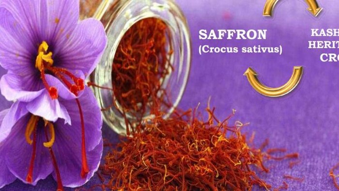 केसर का प्रतीकात्मक फोटो. केड्रिट जम्मू-कश्मीर एग्रीकल्चर विभाग.