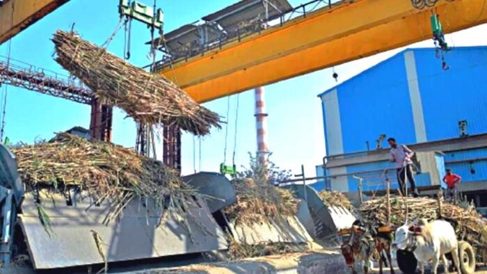 पहली तिमाही में महाराष्ट्र ने किया सबसे अधिक चीनी का उत्पादन (सांकेतिक तस्वीर)