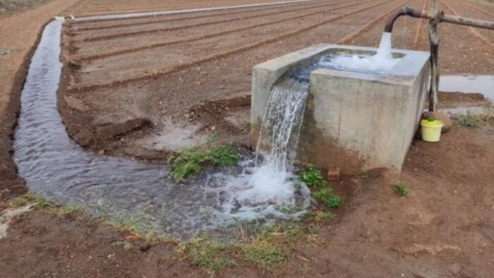 कृषि क्षेत्र में बढ़ रही बिजली की खपत