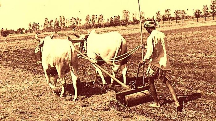 बजट में कृषि कर्ज को लेकर बड़े फैसले की उम्मीद कर रहे हैं किसान. (File Photo)