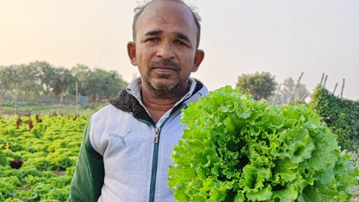 प्रगतिशील किसान रमेश वर्मा