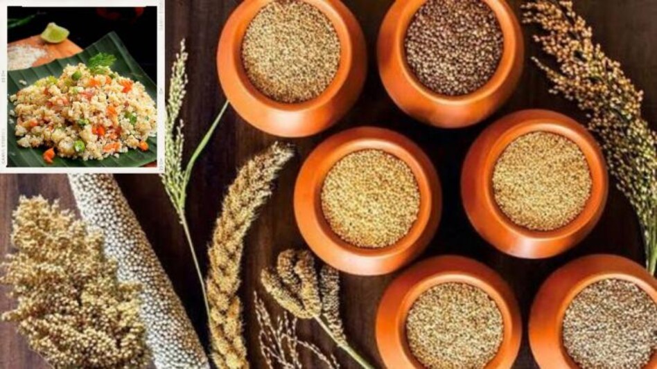 स्टार्टअप के माध्यम से मोटे अनाज से बनाए उत्पादों को मिलेगा बाजार, बढ़ेगा व्यापार   स्टार्टअप के माध्यम से मोटे अनाज से बनाए उत्पादों को मिलेगा बाजार, बढ़ेगा व्यापार