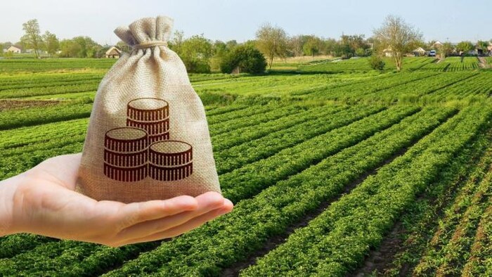 AIF से तीन फीसदी ब्याज पर मिलता है लोन, सांकेतिक फोटो, साभार: Freepik