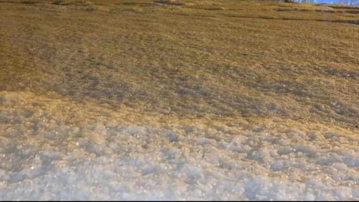 उदयपुर में बारिश और ओले का कहर, फसलें चौपट, फोटो: किसान तक