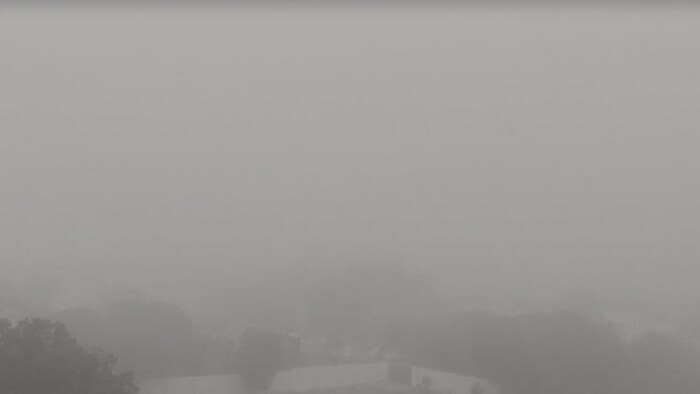 देश के कई इलाकों में आज भी घना कोहरा छाया हुआ है (सांकेतिक तस्वीर)