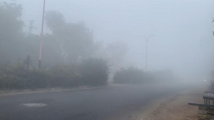 उत्तर भारत में जारी रहेगा ठंड, शीतलहर और कोहरे का कहर, जानें आपके शहर में कैसा रहेगा मौसम