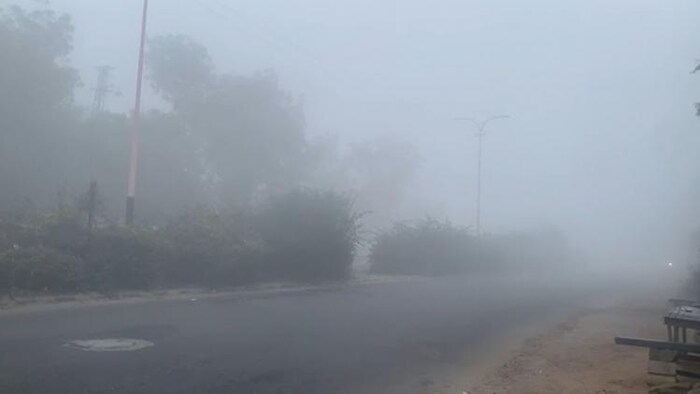 देश के कई इलाकों में कोहरे और शीतलहर का कहर (सांकेतिक तस्वीर)
