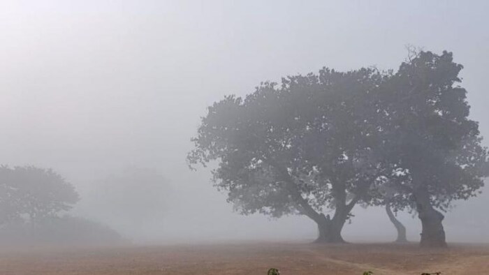आज से तीन दिनों तक इन 5 राज्यों में होगी बारिश, सांकेतिक तस्वीर