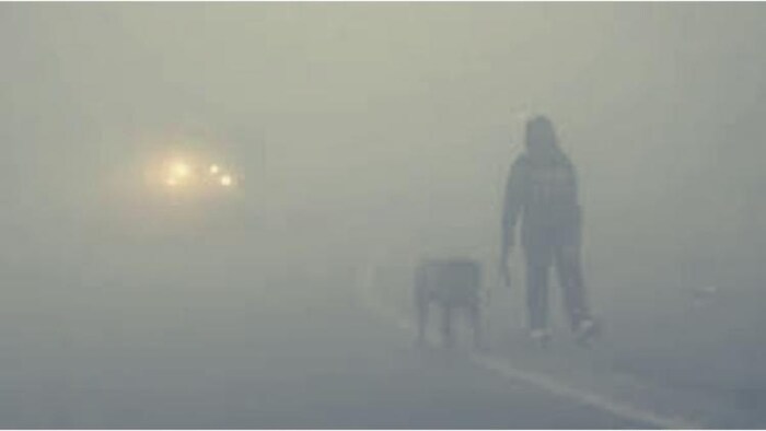 देशभर में शीतलहर और कोहरे का कहर (सांकेतिक तस्वीर)