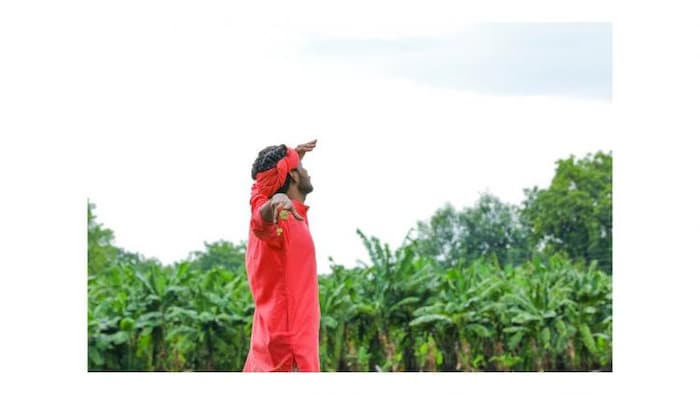 यूपी में भी किसानों को मिलेंगी मौसम का रियल टाइम अपडेट (सांकेतिक तस्वीर)