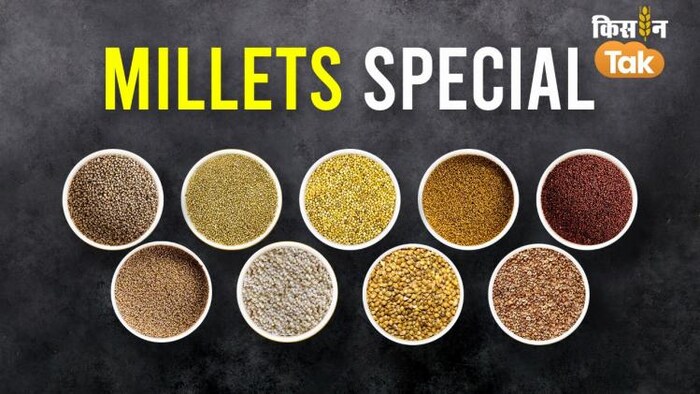 इंटरनेशनल ट्रेड फेयर कार्यक्रम में मोटे अनाजों को बढ़ावा दिया गया