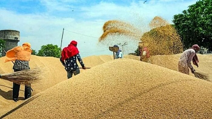 कब कम होगी गेहूं के दाम की तेजी. (File Photo)