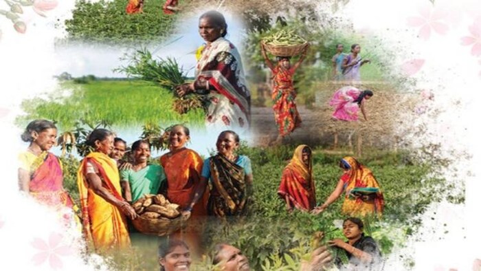 छत्तीसगढ़ की महिलाएं खेती-बाड़ी में नए रिकॉर्ड बना रही हैं (फोटो-ICAR)