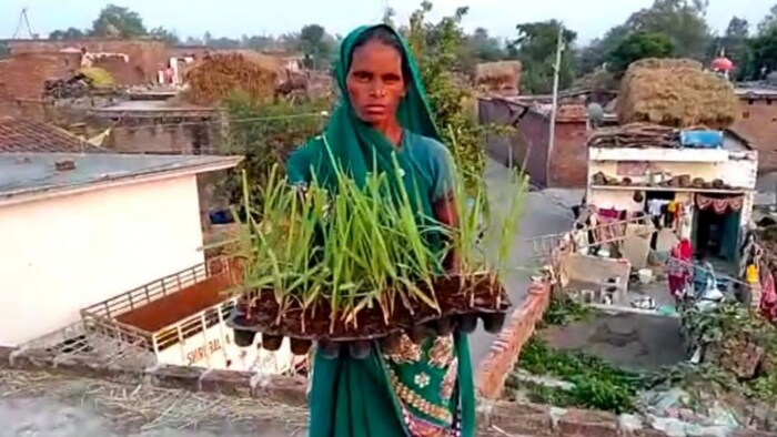 महिला गन्ना किसान