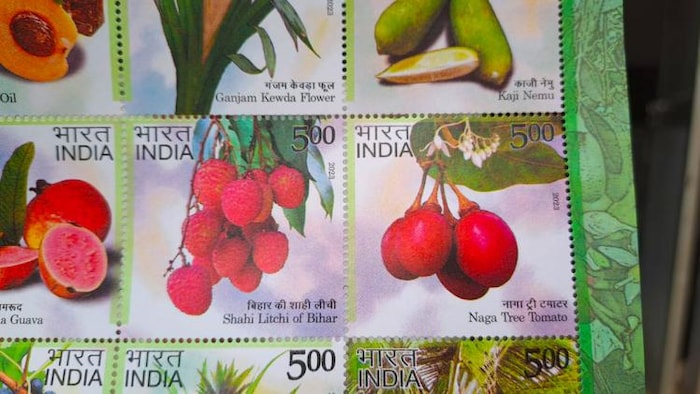 मुजफ्फरपुर जिले की शाही लीची ने किया एक और गौरव प्राप्त