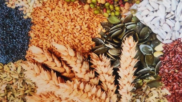 कृषि उत्पादों का कितना हुआ एक्सपोर्ट (File Photo).