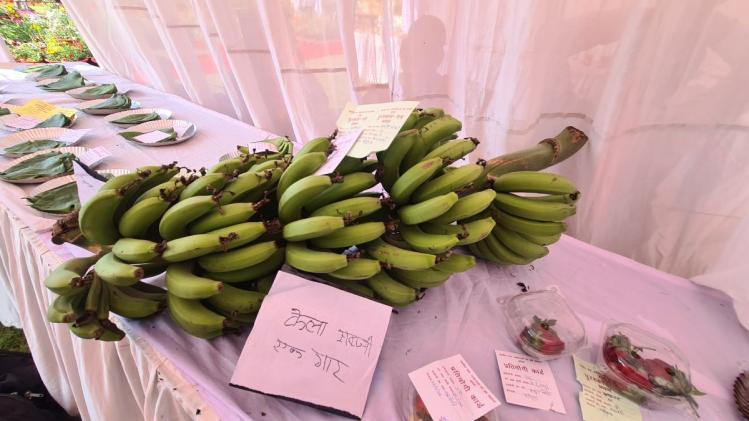 केले की खेती बुंदेलखंड में बन रही बदलाव की वाहक