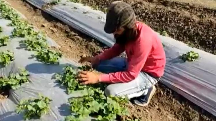 बारां के किसान धनराज लववंशी